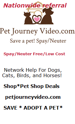 Save A Pet - Support Adopt at Animal Shelter - Get Pet Help at Pet Journe Video